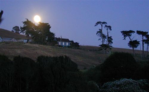 Point Reyes Vineyard Inn California City Buitenkant foto
