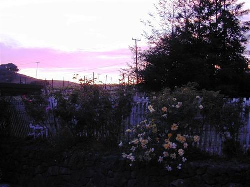 Point Reyes Vineyard Inn California City Buitenkant foto