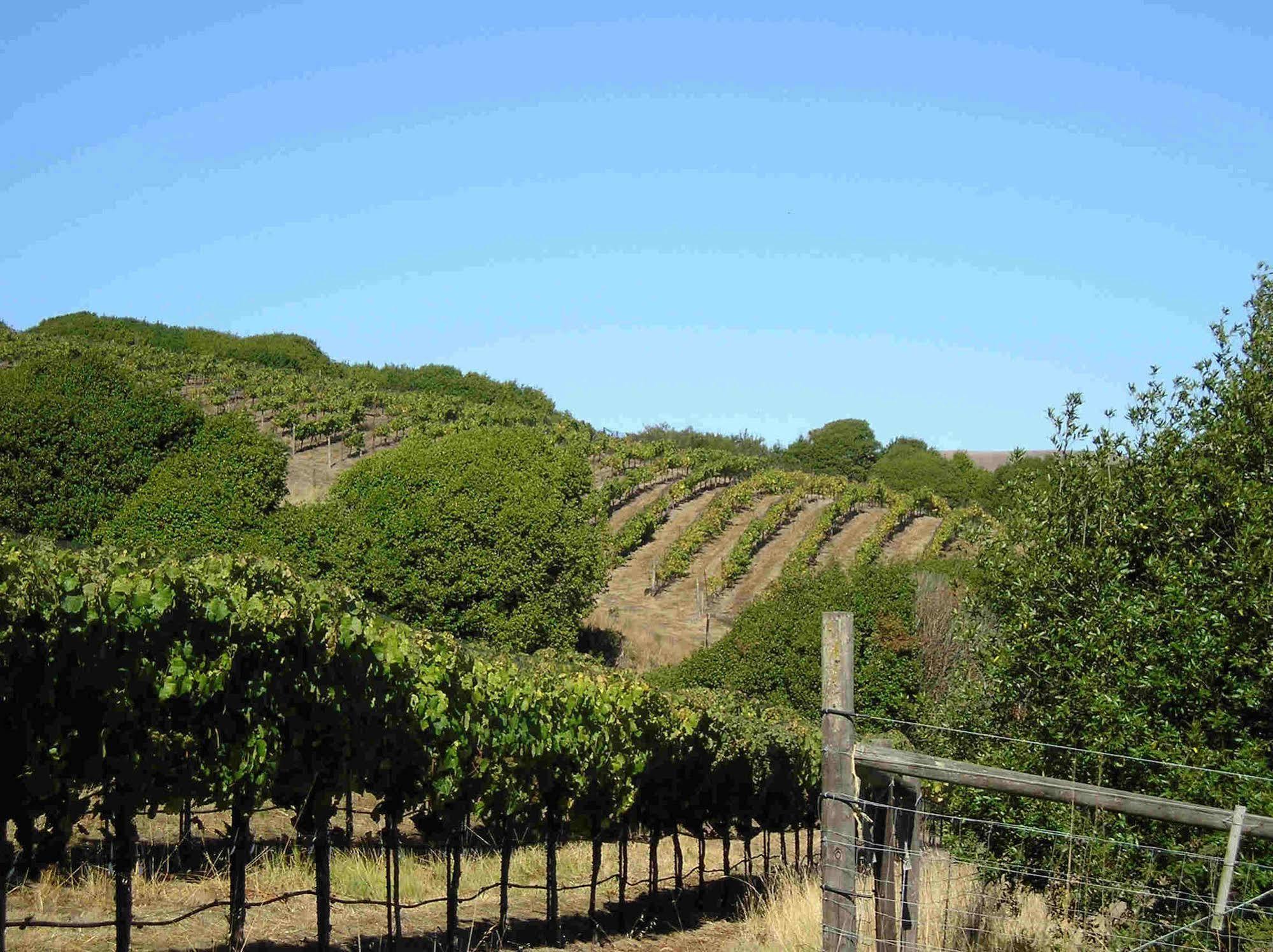 Point Reyes Vineyard Inn California City Buitenkant foto